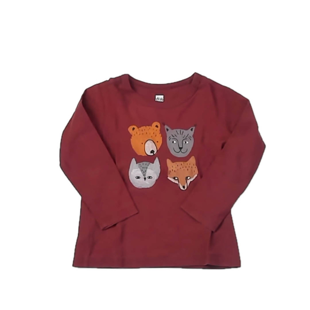 Tea Collection Boys Maroon Long Sleeve T-Shirt size: 12-18 Months